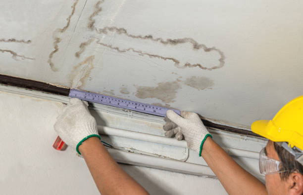 Reliable Mold Remediation contractor in California Hot Springs, CA by Water Damage Irwin